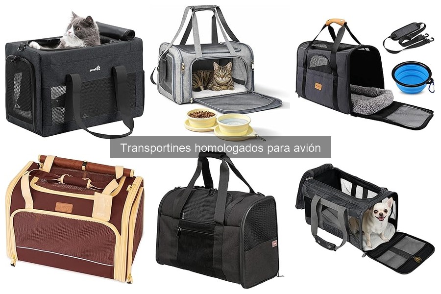 Tipos de transportines homologados para avión para mascotas