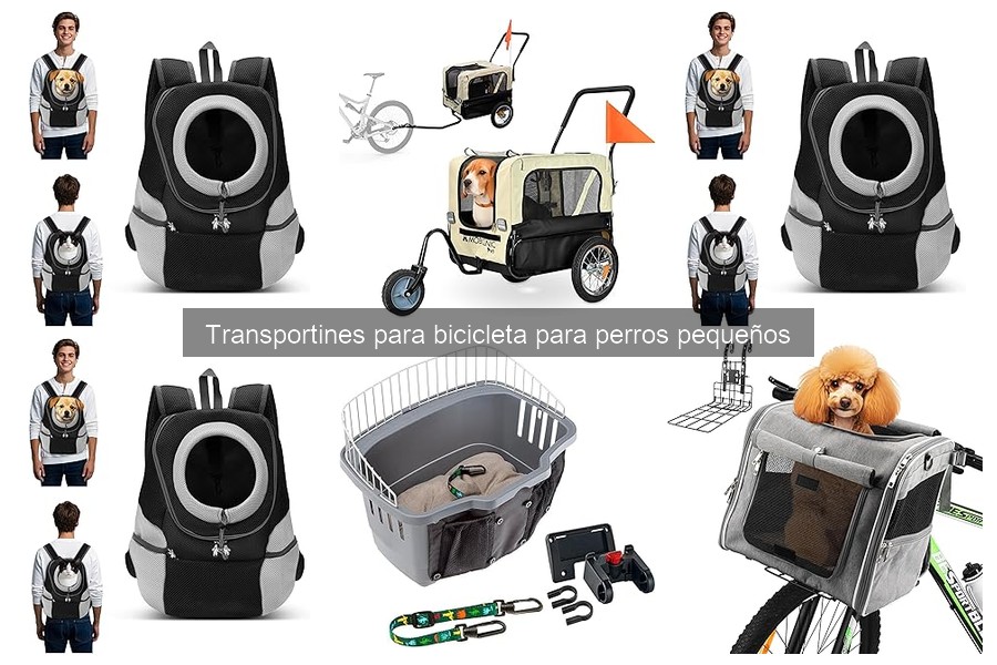 Tipos de transportines para bicicleta para perros pequeños