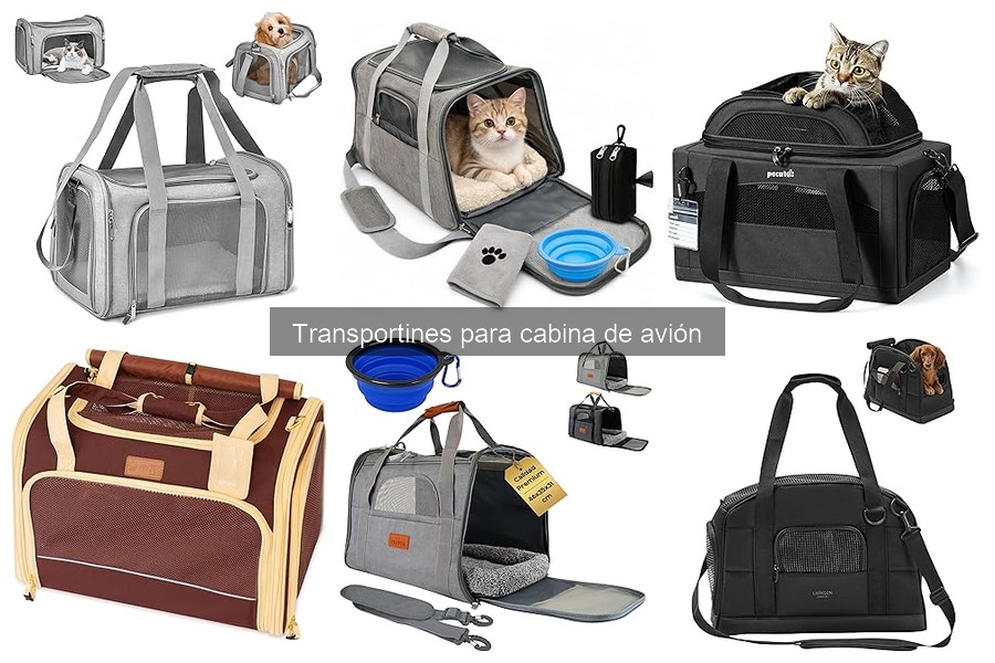 Tipos de transportines para cabina de avión: compara opciones