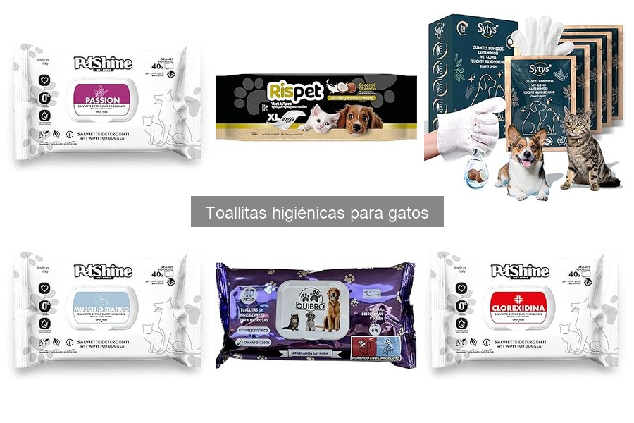 Toallitas Higiénicas para Gatos: ¿Qué Son y Cómo Usarlas?