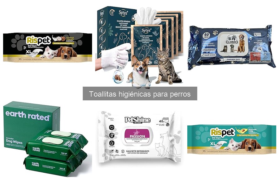 Toallitas higiénicas para perros: ¿son seguras?