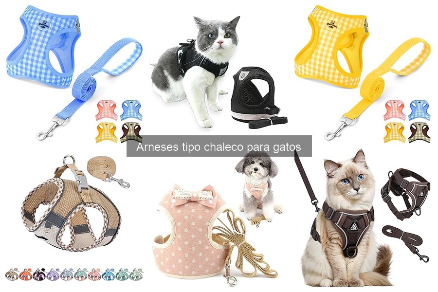 Todo sobre arneses tipo chaleco para gatos