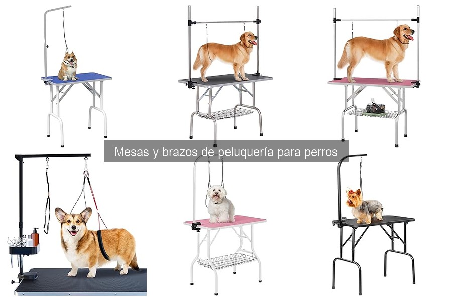 Todo sobre mesas de peluquería para perros: ¿qué son?