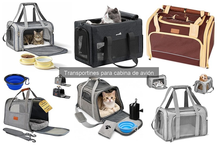 Transportines para Cabina de Avión: Características y Normativas
