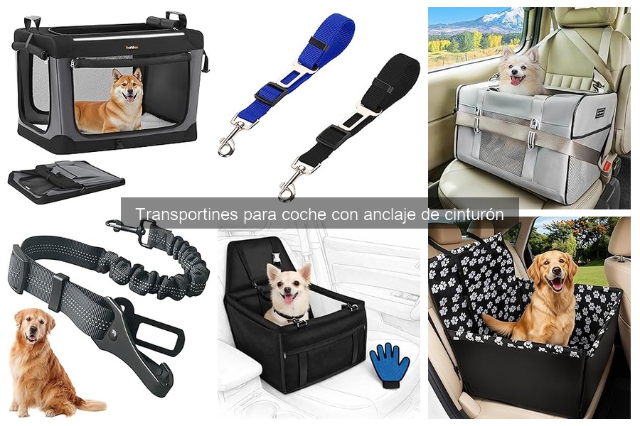 Transportines para coche con anclaje de cinturón: seguridad para tu mascota