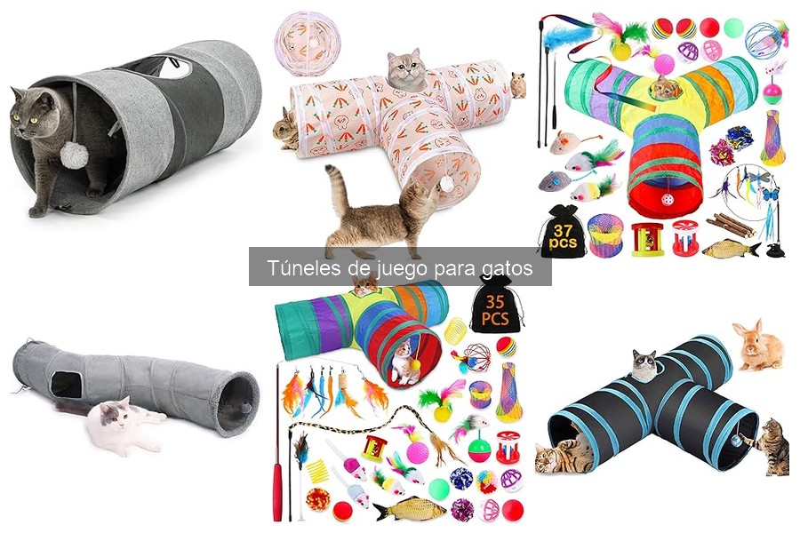 Túneles de juego para gatos: ¿qué son y para qué sirven?