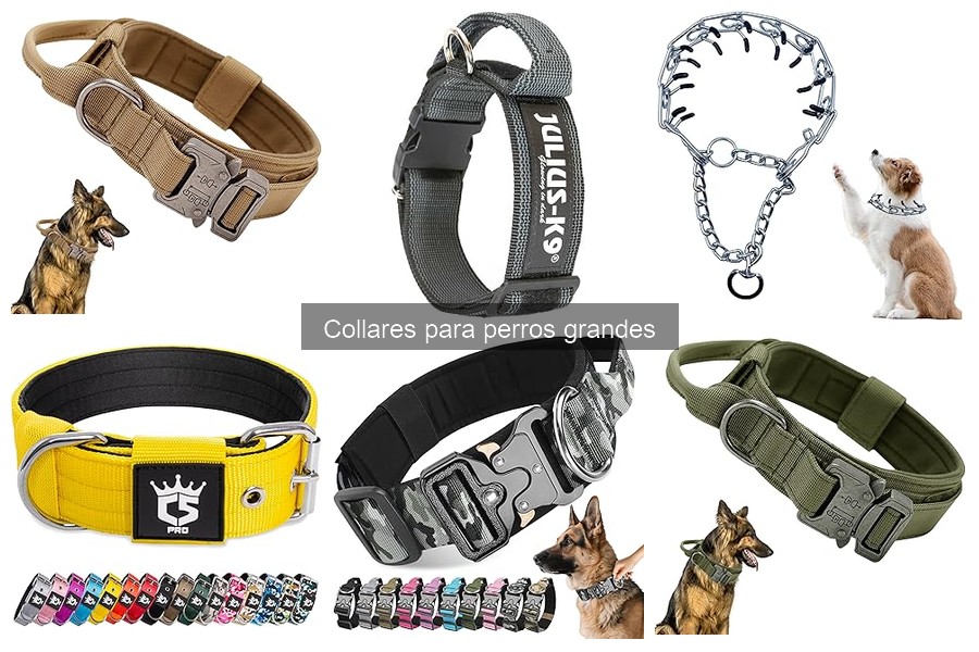 Uso Efectivo de Collares de Adiestramiento para Perros Grandes