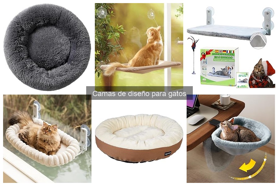 Ventajas de las camas de diseño para gatos: ¿por qué elegirlas?