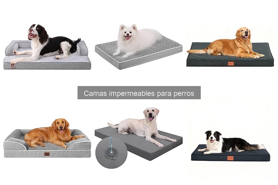 Ventajas de las camas impermeables para perros
