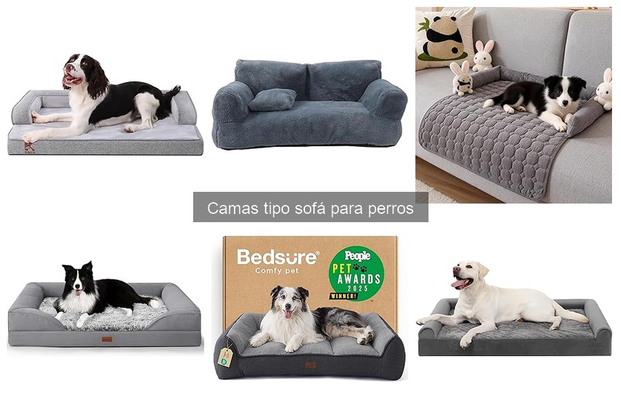 Ventajas de las camas tipo sofá para perros: comodidad y más