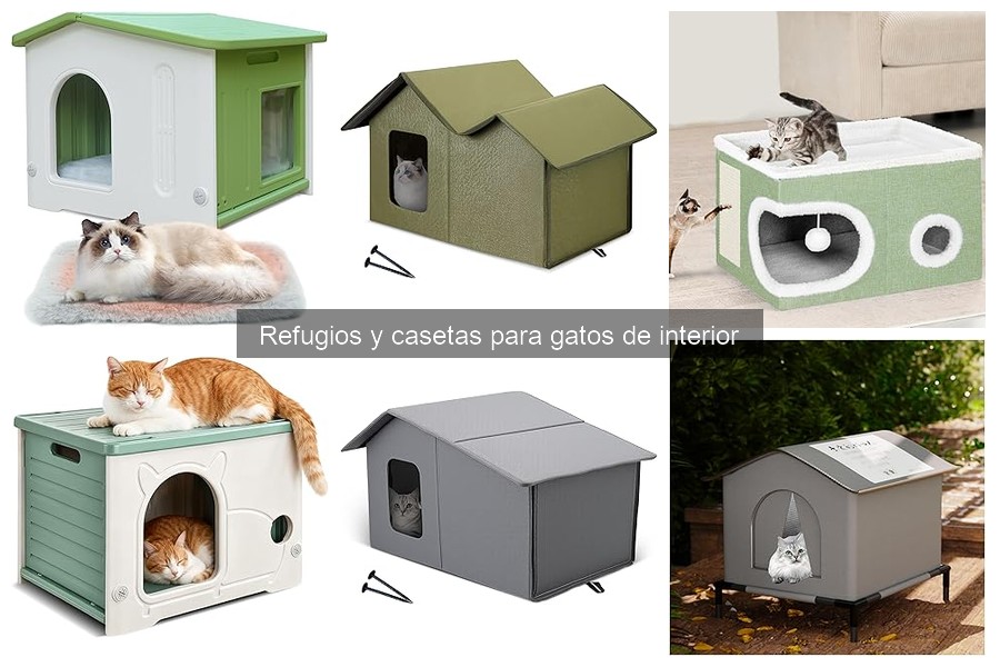 Ventajas de las casetas para gatos de interior: comodidad y seguridad