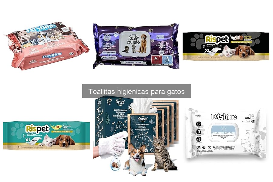 Ventajas de las toallitas higiénicas para gatos: limpieza fácil