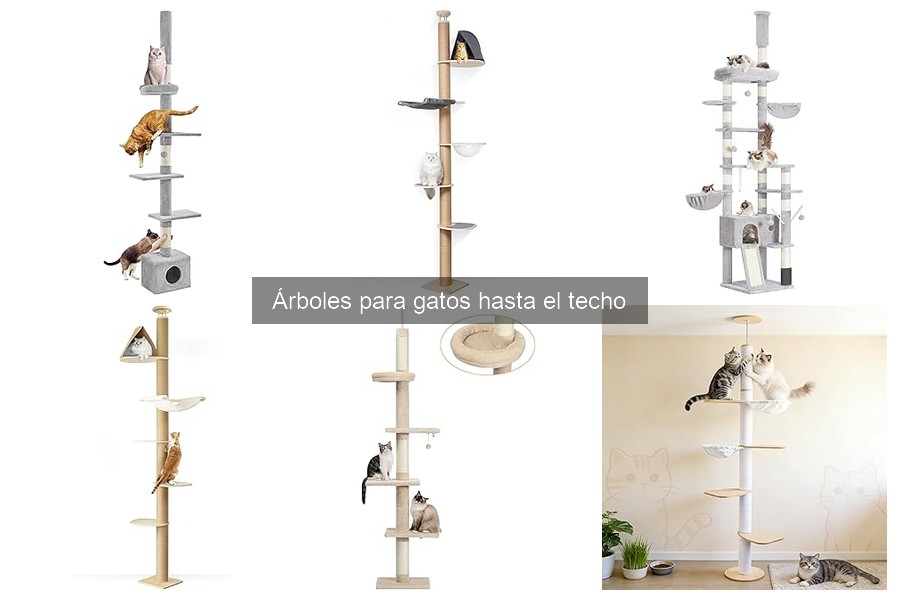 Ventajas de los árboles para gatos hasta el techo