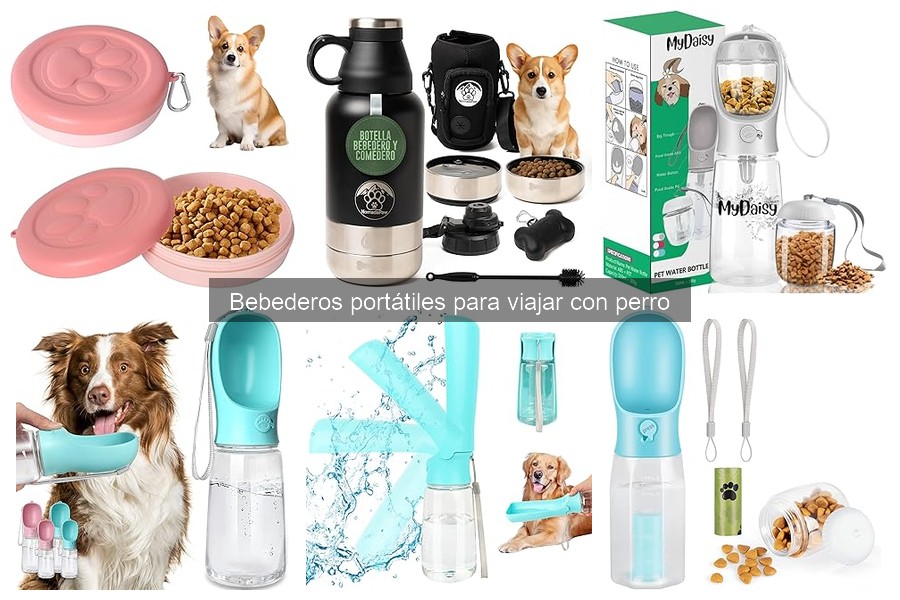 Ventajas de los bebederos portátiles para perros al viajar