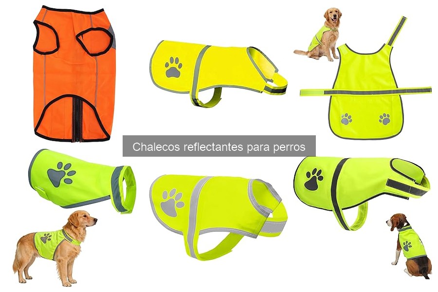 Ventajas de los Chalecos Reflectantes para Perros