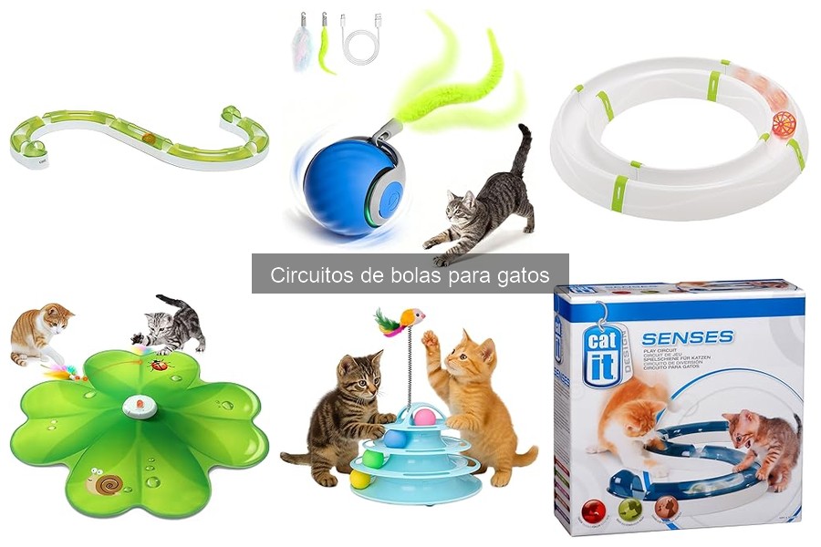 Ventajas de los circuitos de bolas para gatos: ¡Descúbrelas!