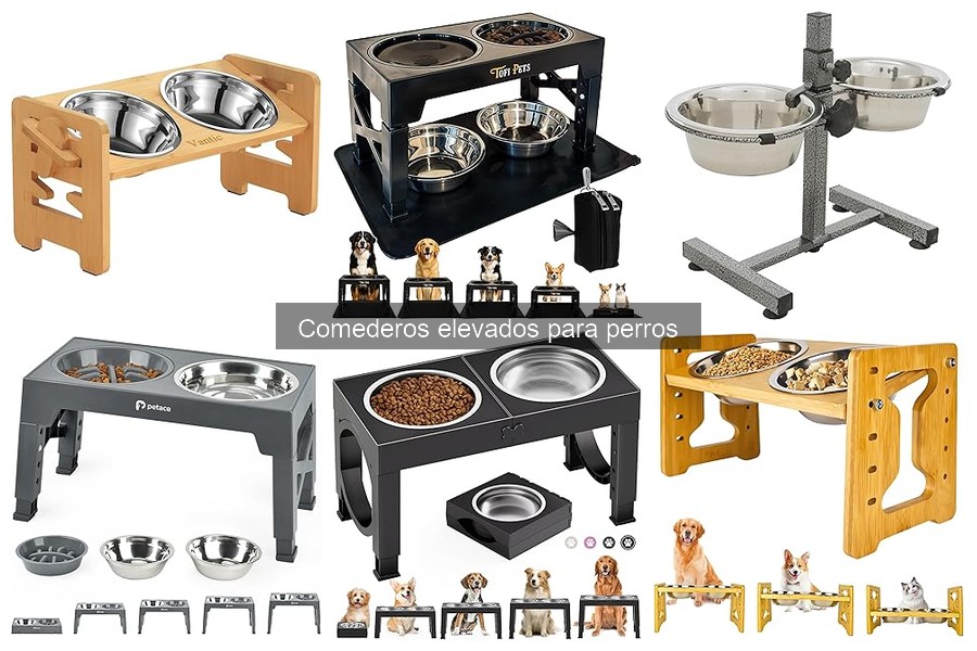 Ventajas de los Comederos Elevados para Perros