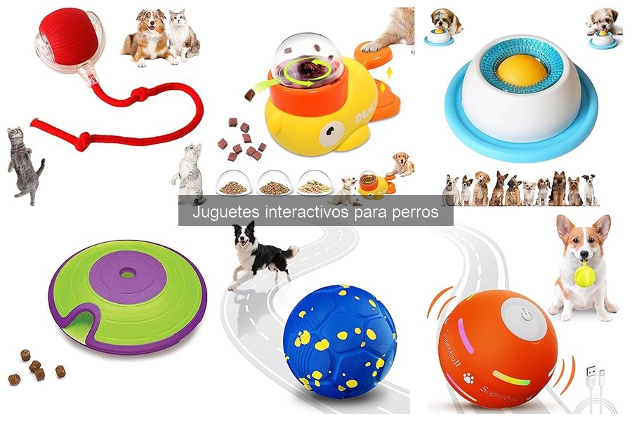Ventajas de los juguetes interactivos para perros