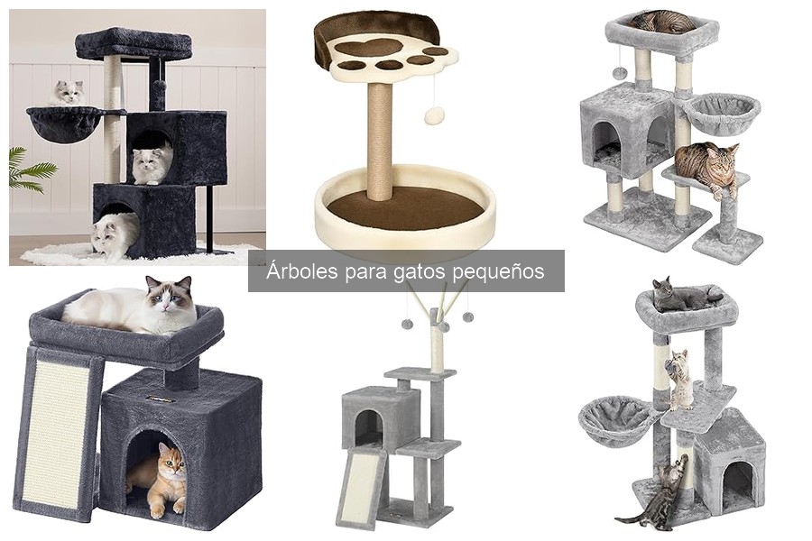 Ventajas de tener un árbol para gatos pequeños