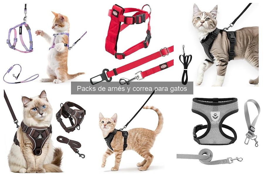 Ventajas de Usar Arnés y Correa para Gatos Seguros
