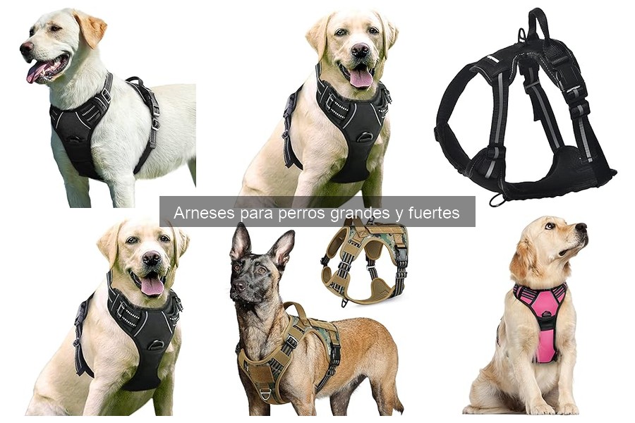 Ventajas de usar arneses en lugar de collares para perros grandes