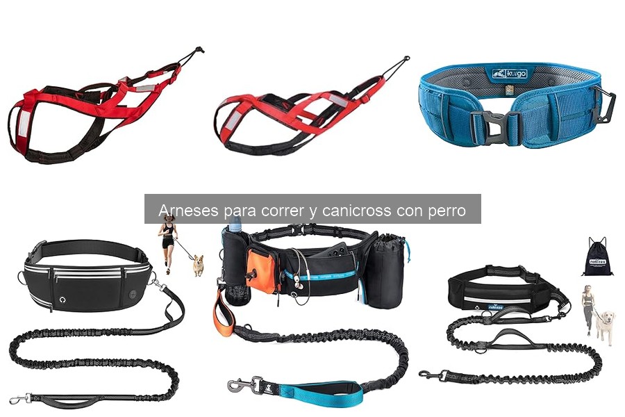 ** Ventajas de usar arneses para correr con tu perro