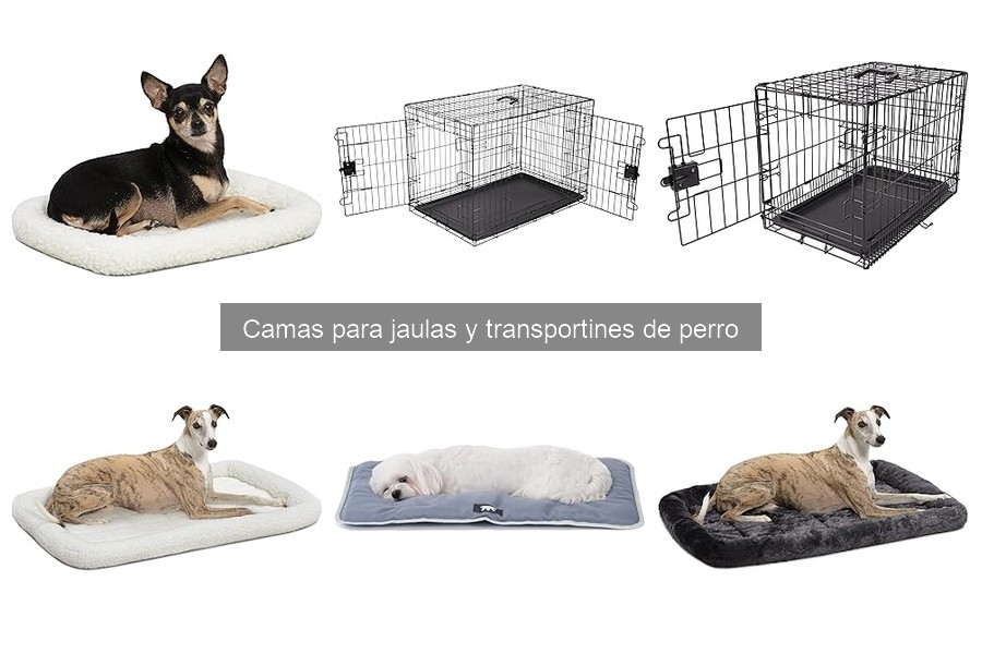 Ventajas de usar camas en jaulas y transportines para perros