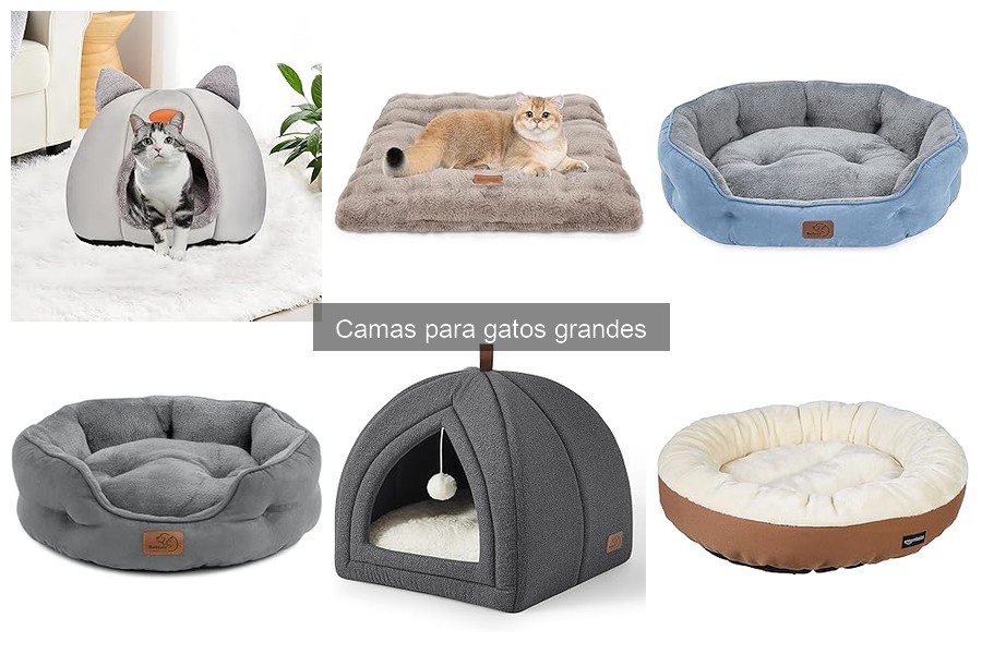 Ventajas de Usar Camas para Gatos Grandes en Casa