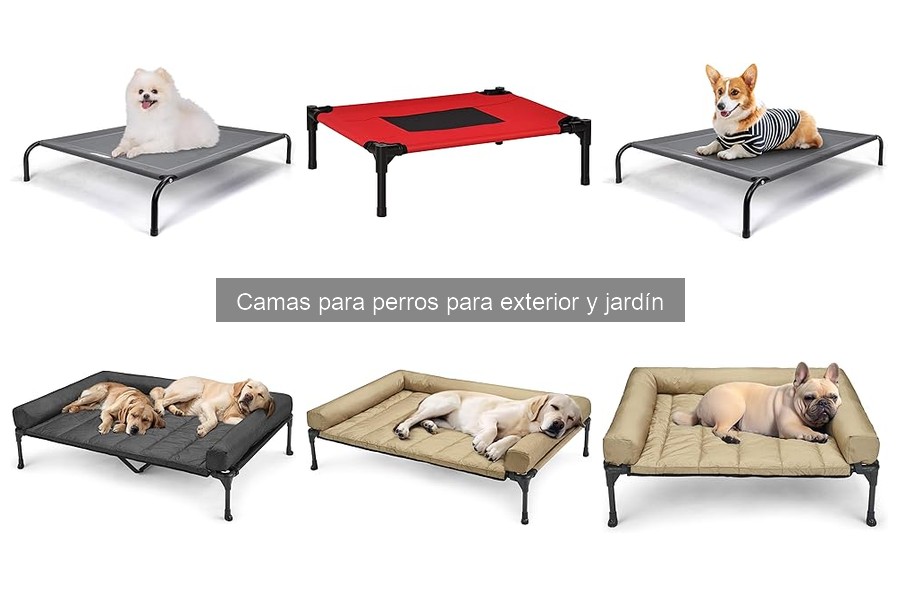 Ventajas de Usar Camas para Perros en el Jardín