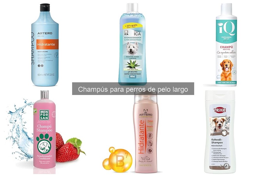 Ventajas de Usar Champús para Perros de Pelo Largo
