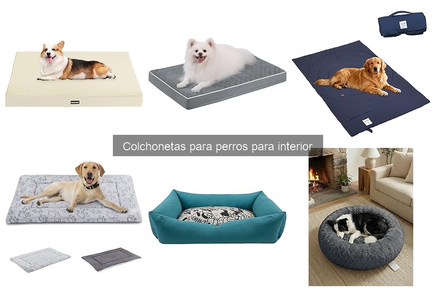 Ventajas de Usar Colchonetas para Perros en Casa