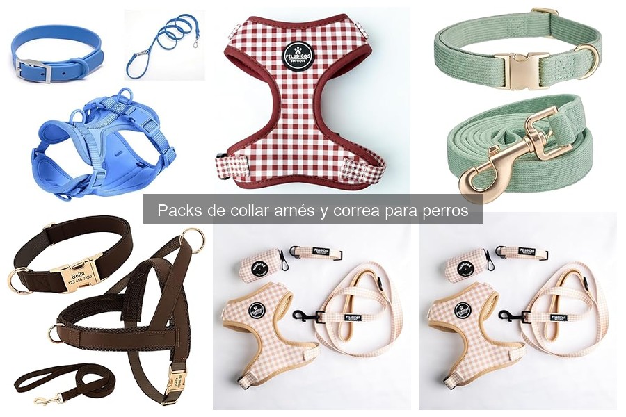 Ventajas de usar un pack de collar, arnés y correa para perros