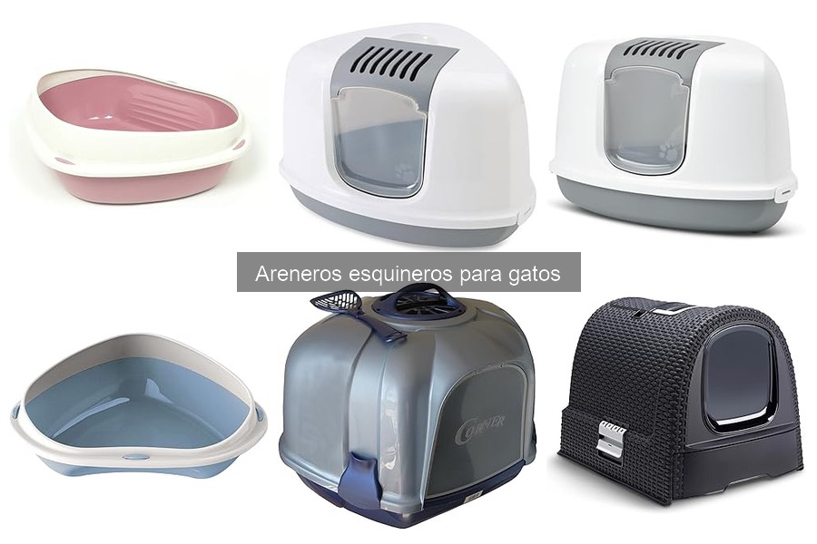 Ventajas del Arenero Esquinero para Gatos vs. Tradicional