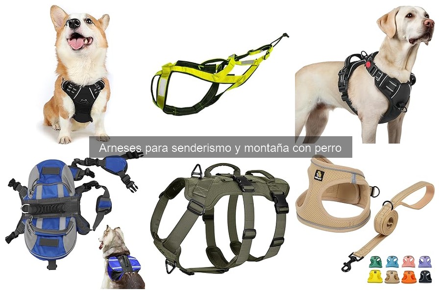 Ventajas del Arnés para Senderismo sobre el Collar