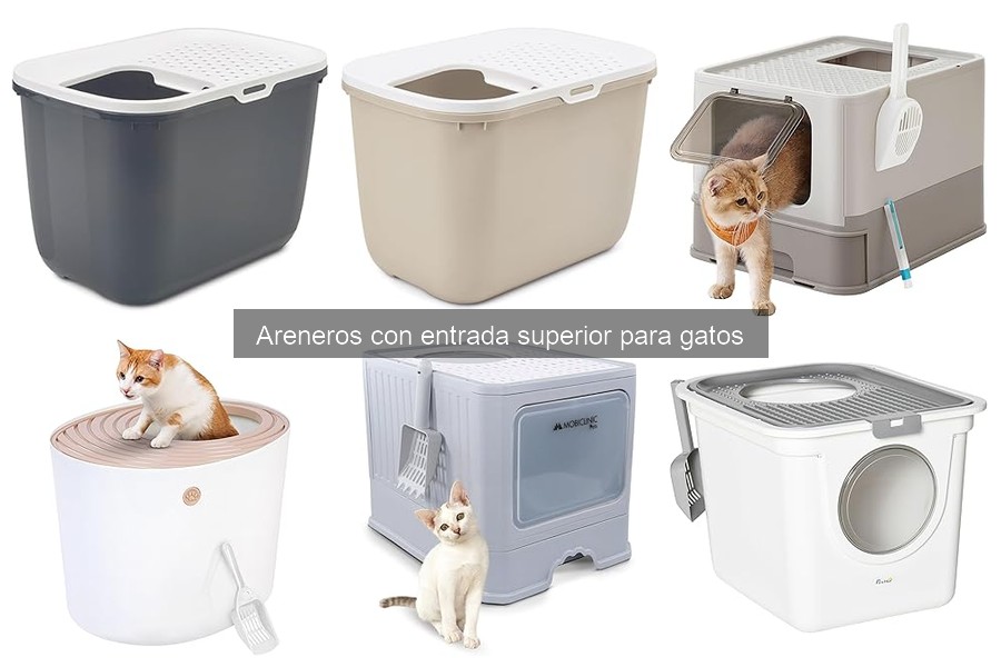 Ventajas y Desventajas de Areneros con Entrada Superior para Gatos
