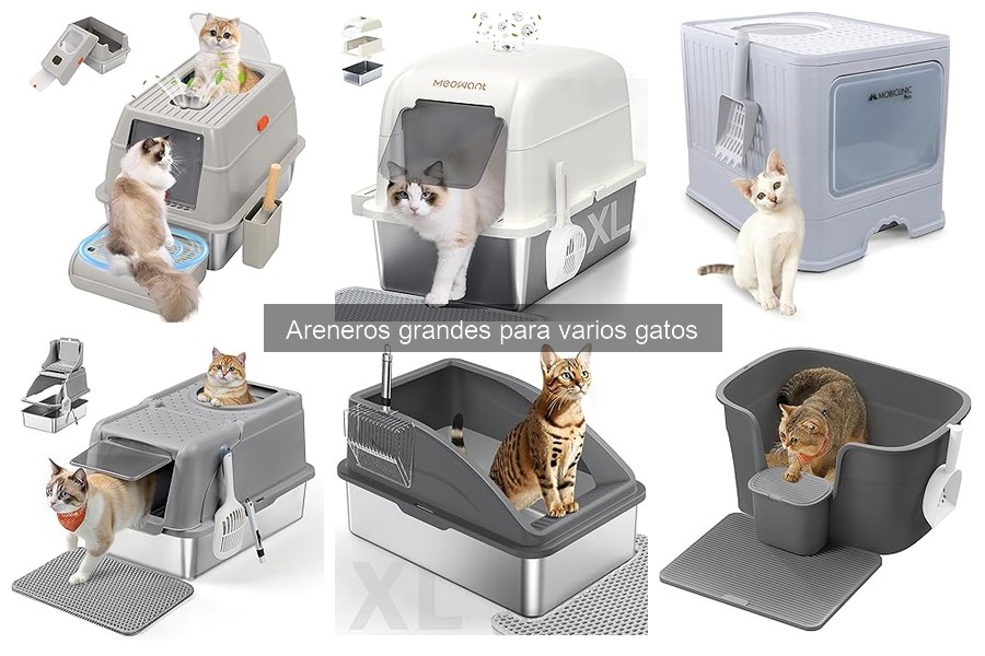 Ventajas y desventajas de areneros grandes para gatos