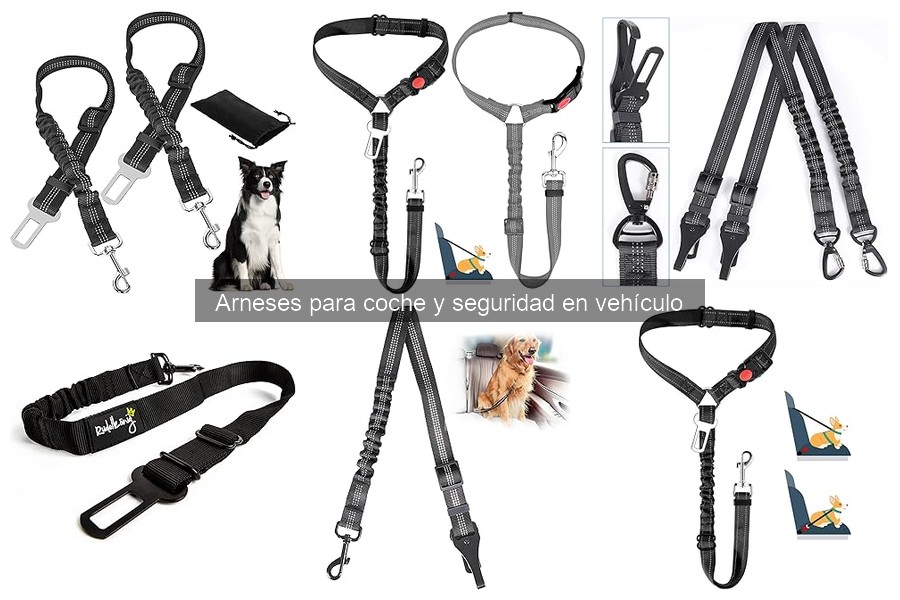 Ventajas y desventajas de arneses de coche vs transportines