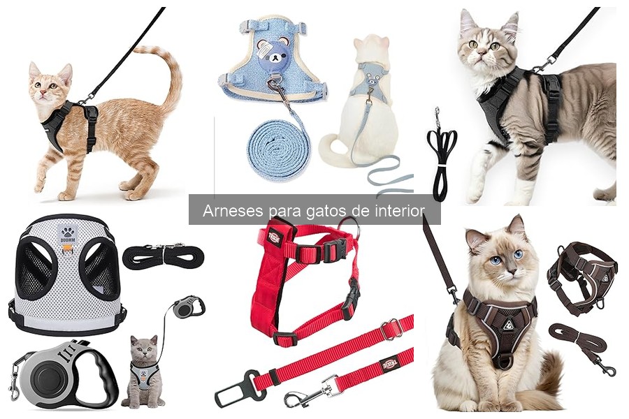 Ventajas y desventajas de arneses para gatos de interior