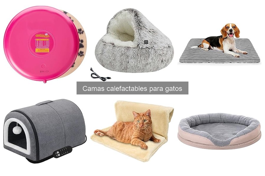 Ventajas y desventajas de camas calefactables para gatos