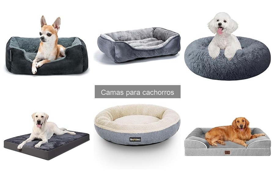Ventajas y desventajas de camas para cachorros
