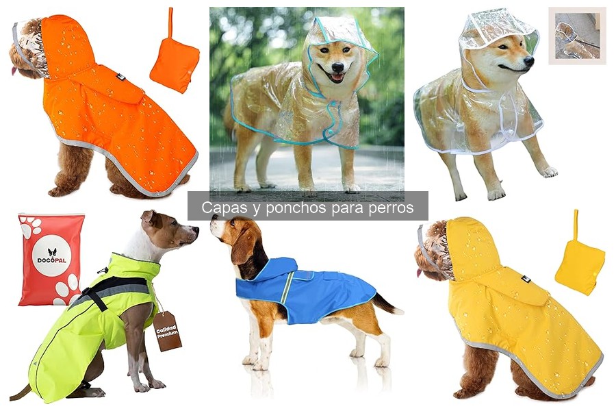 Ventajas y Desventajas de Capas y Ponchos para Perros