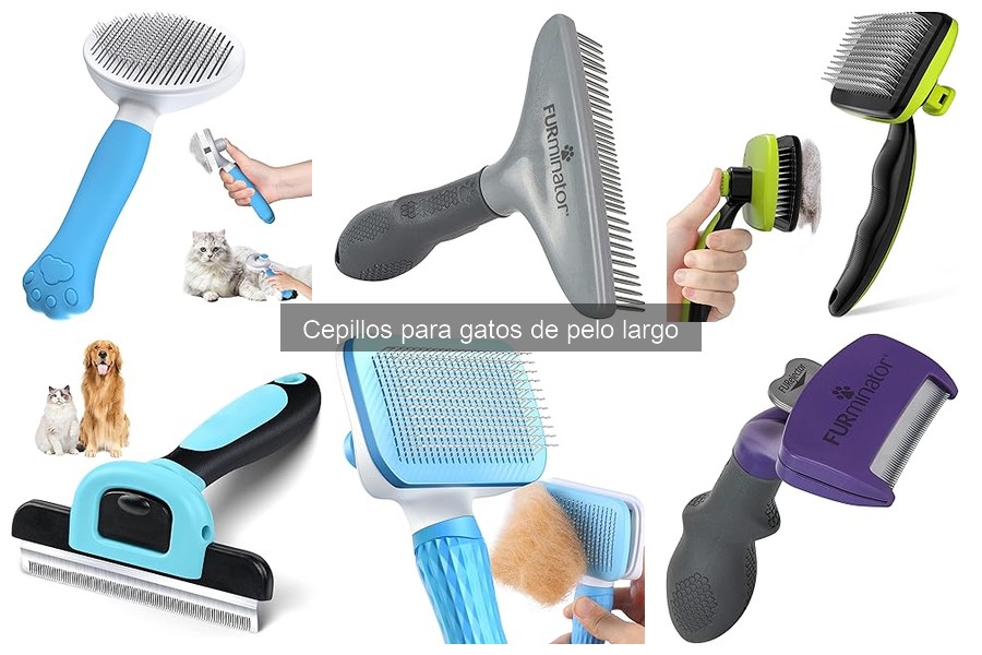 Ventajas y desventajas de cepillos para gatos de pelo largo