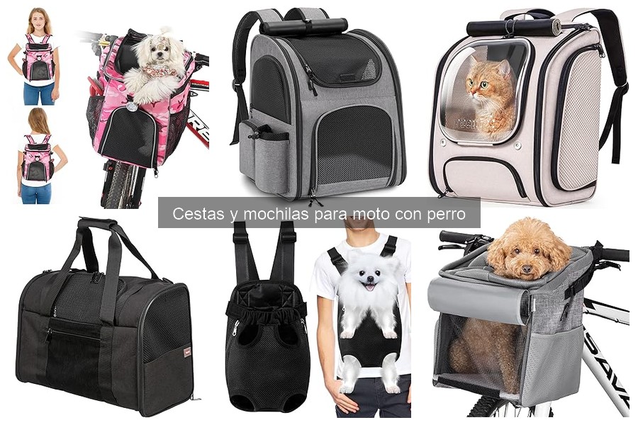 Ventajas y Desventajas de Cestas y Mochilas para Moto con Perro