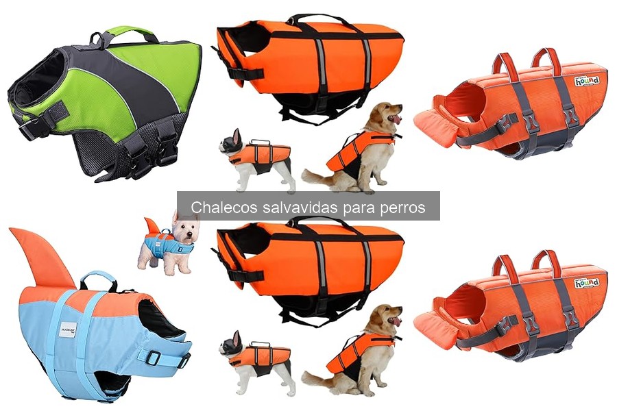 Ventajas y Desventajas de Chalecos Salvavidas para Perros
