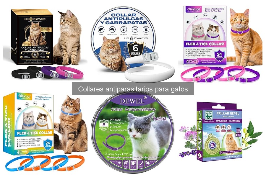 Ventajas y desventajas de collares antiparasitarios para gatos