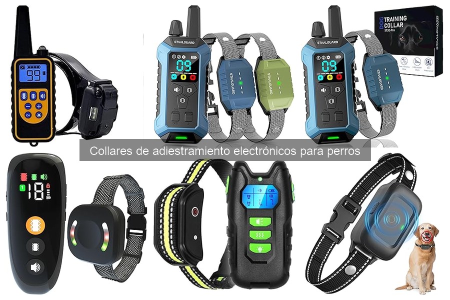 Ventajas y desventajas de collares de adiestramiento electrónicos