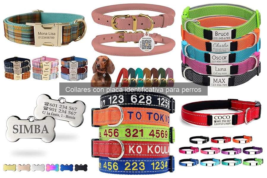 Ventajas y desventajas de collares identificativos para perros