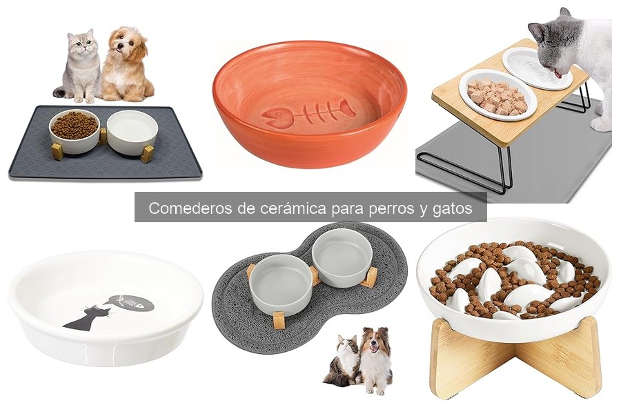 Ventajas y desventajas de comederos de cerámica para mascotas