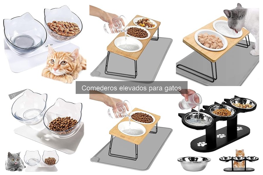 Ventajas y desventajas de comederos elevados para gatos