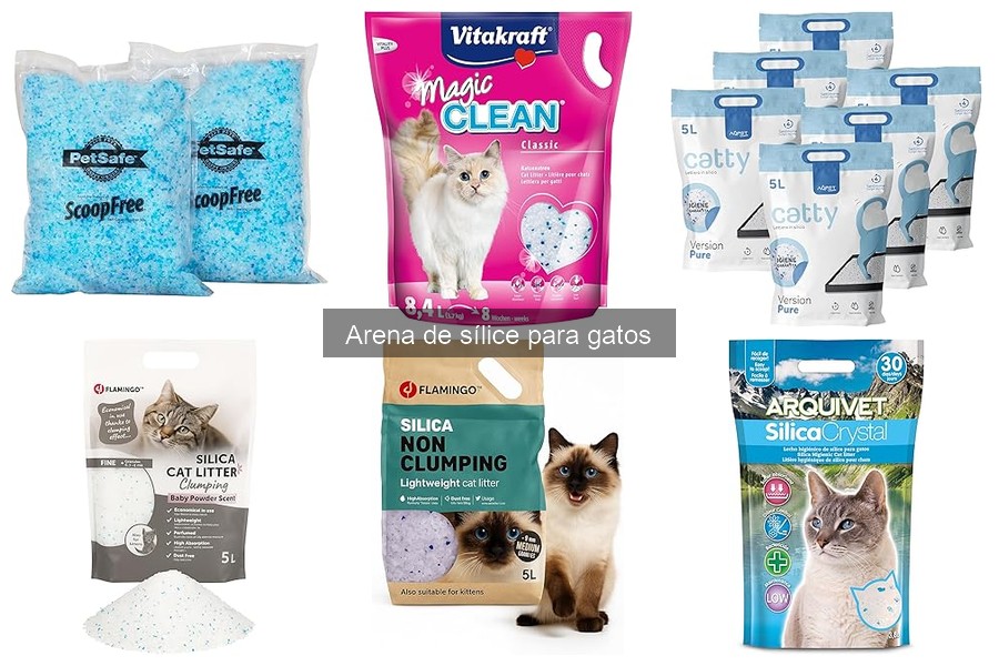 Ventajas y desventajas de la arena de sílice para gatos